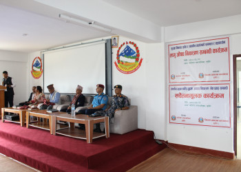 IMG_0935.JPG