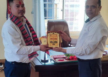 विदाई_(1).jpeg